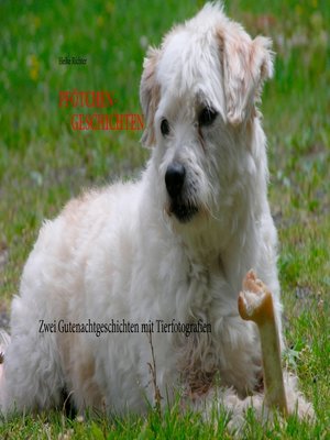 cover image of "Pfötchen-Geschichten"